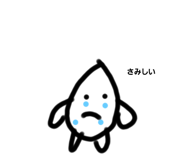 577793145