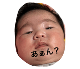 577799498