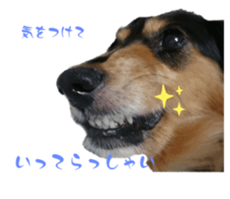 577808692