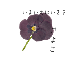 577821985