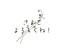 577821989