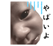 577842308