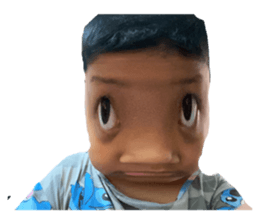 577893008