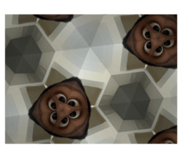 577893012