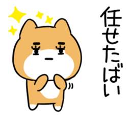 577931973