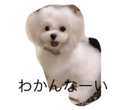 578018577