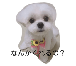 578018579