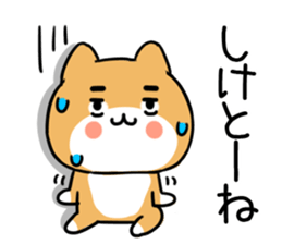 578087270