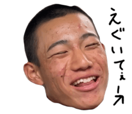 578136662