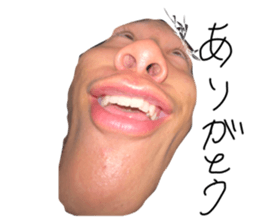 578136667