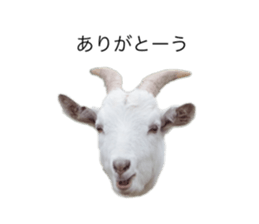 578156242