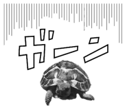 578272681