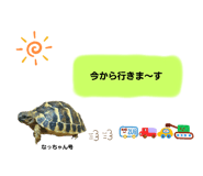 578272684