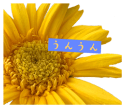 578274252