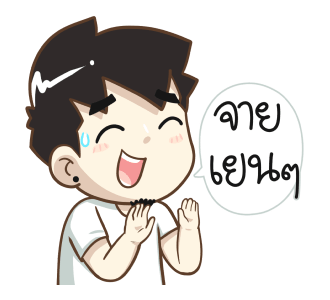 ลายที่ 13