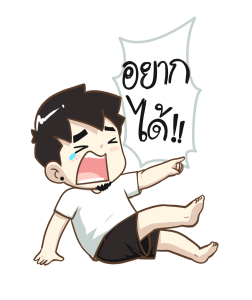 ลายที่ 41