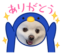 578393253