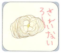 578412033