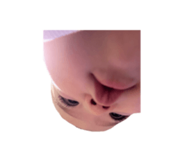 578412912