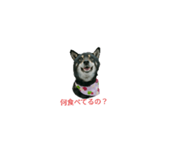 578505994