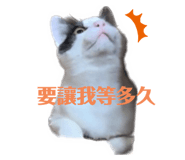 578533585
