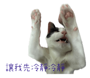 578533588