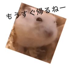 578534564