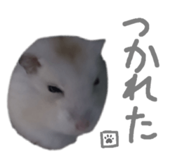 578534567