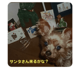 578537150