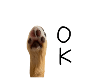 578542971