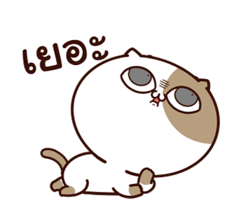แมวเต้าหู้ดุ๊กดิ๊กๆ 2 รูปที่ 6