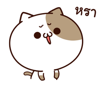 แมวเต้าหู้ดุ๊กดิ๊กๆ 2 รูปที่ 7
