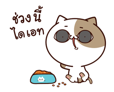 แมวเต้าหู้ดุ๊กดิ๊กๆ 2 รูปที่ 11
