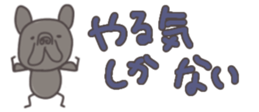 578606223