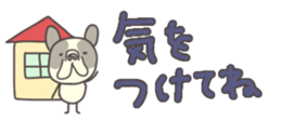 578606227