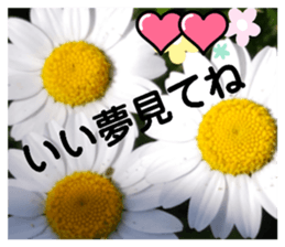 578627700