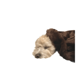 578640799