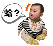 578655018