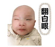 578655020