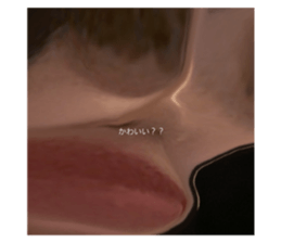 578664816
