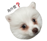 578679141