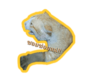 578694371