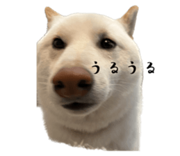 578724711