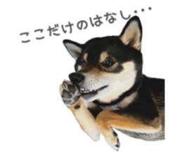 578764949