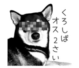 578764954