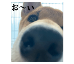 578775894
