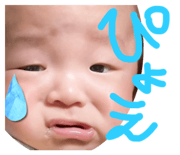 578807667