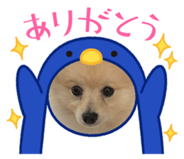 578809065