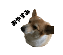 578819119