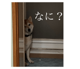 578974746
